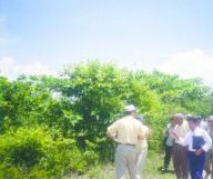 The Tropical Dry Forest of Coronado:Part Two: Learning About This Treasure