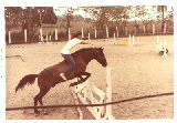 equestrians_in_panama_clayton_II_thumbnail.jpg