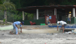 Fresh Fish for Sale at The New Gorgona Fishermen Co-Operative