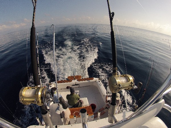 Hooked on Deep Sea Fishing? Hooked on Panama has the Answer