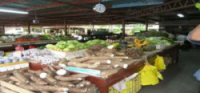 At the Market in Panama