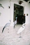 Palacio de las Garzas: Panama's Presidential Palace