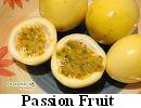 passion_fruit.jpg