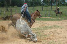 Rodeo in La Chorrera this Sunday!