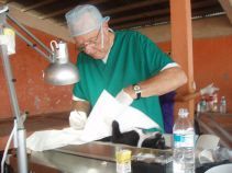 Spay Panama - Making A Difference for Animals in Panama