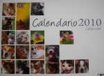 Buy a 2010 Calendar and Support a Great Cause!