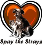 Spay and Neuter Blitz in Gorgona, June 21